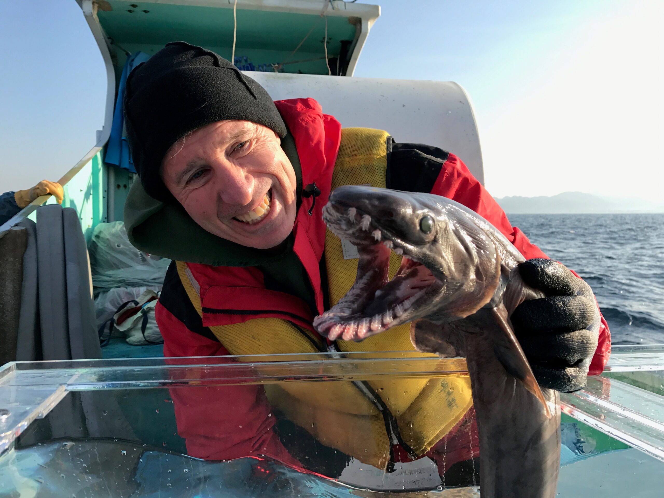 NRF-SAIAB Seminar – Dr David Ebert: Searching for lost sharks