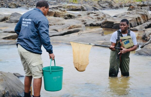 Dr Albert Chakona Promoted to Chief Scientist at the NRF-SAIAB: advancing aquatic research in Africa