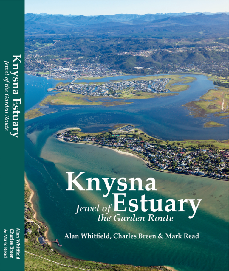 Knysna Estuary: Jewel of the Garden Route – South African Institute for ...