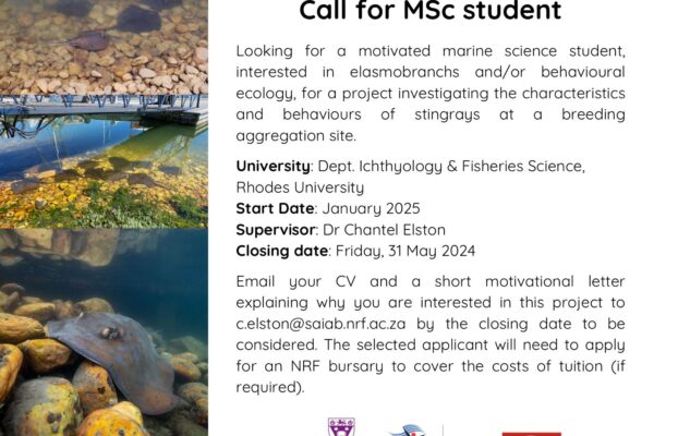Call for MSc Student
