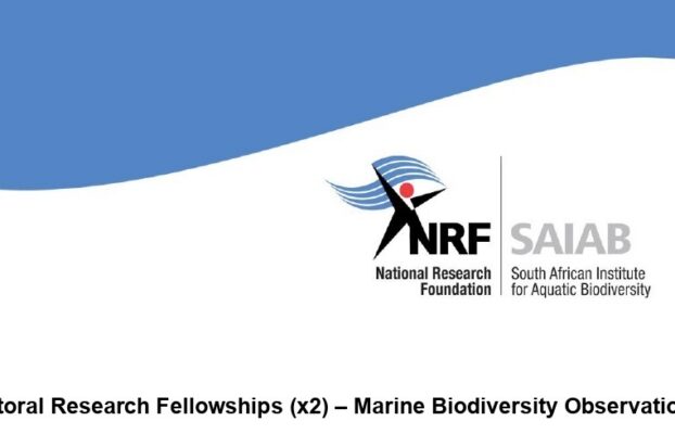 Post-doc (NRF Grantholder) advert – Marine Biodiversity Observation
