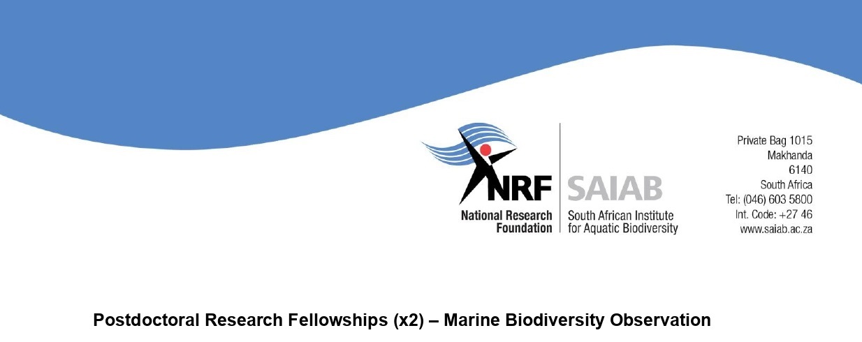 Post-doc (NRF Grantholder) advert – Marine Biodiversity Observation