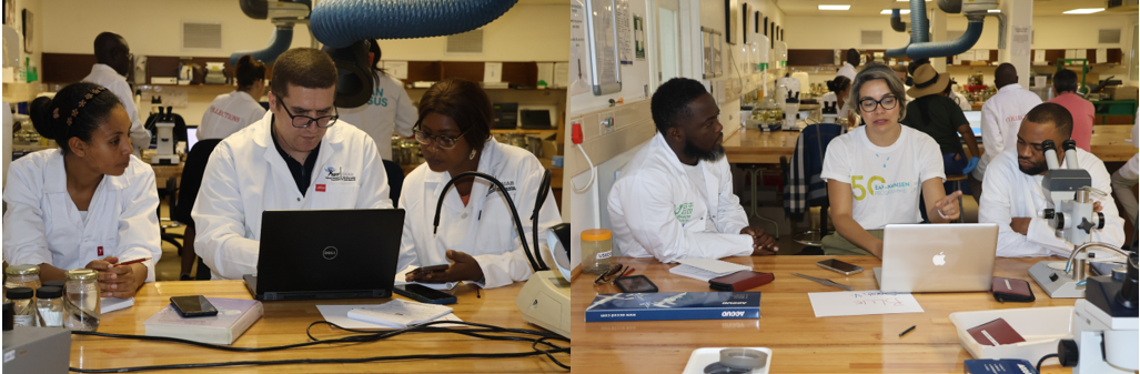 Presentations by EAF-Nansen Programme Post-Survey Workshop on Taxonomy Research Participants