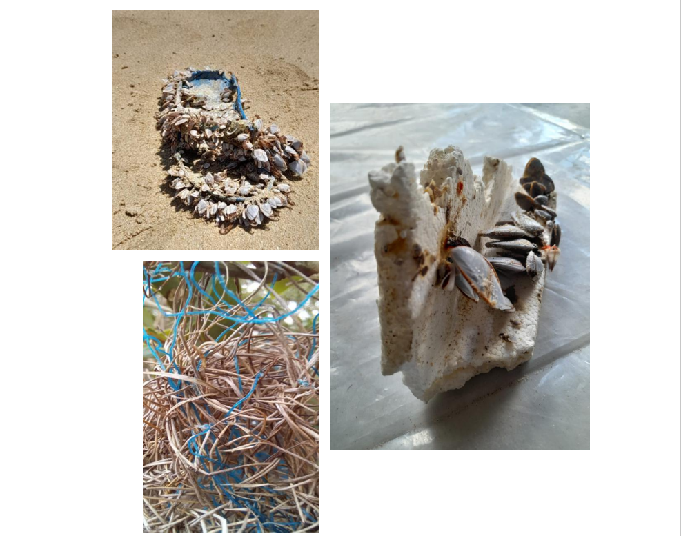 NRF-SAIAB Briefing Note: Microplastics in Aquatic Ecosystems, Implications for Ecosystem Services and Long-Term Solutions