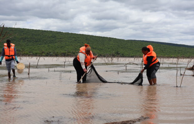Building regional expertise in Aquatic Biodiversity: highlights from the NRF-SAIAB/BIUST research visit