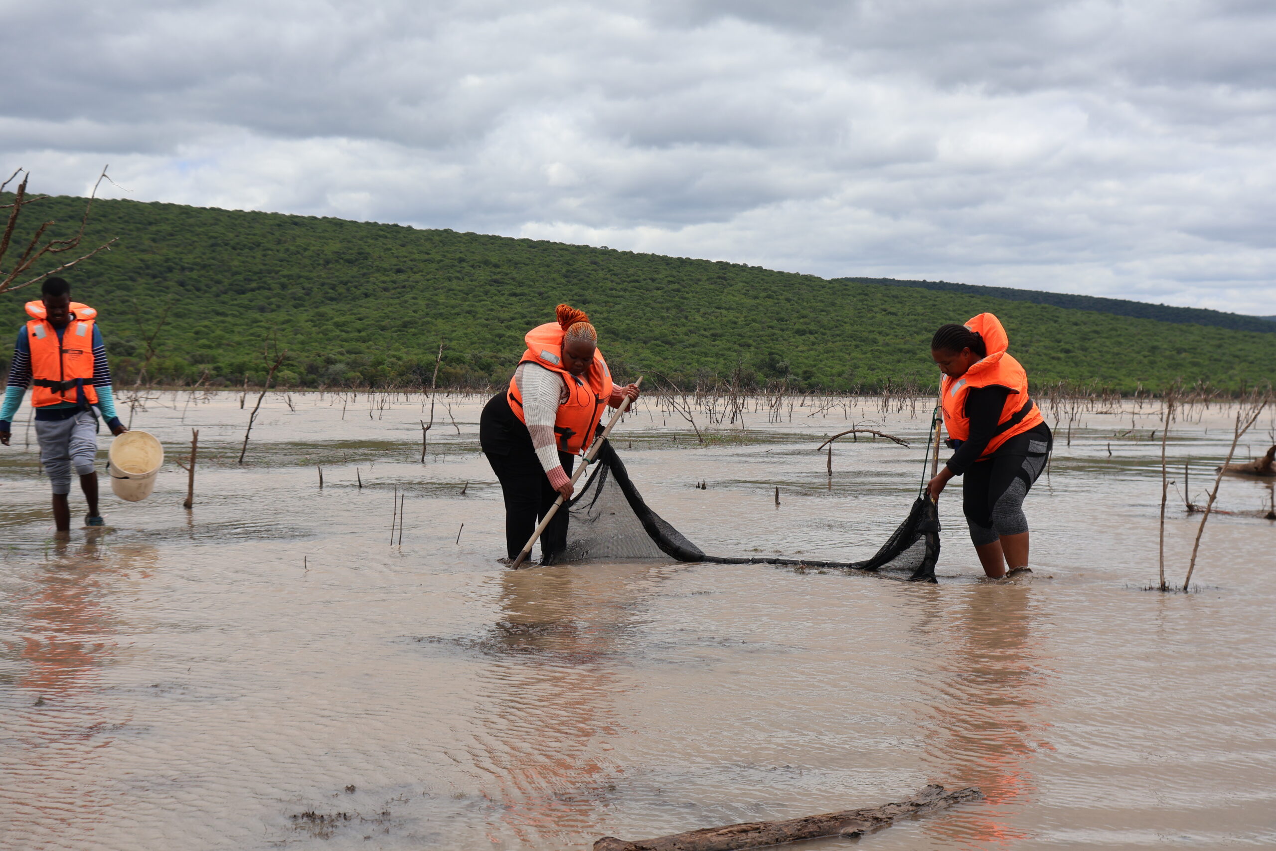 Building regional expertise in Aquatic Biodiversity: highlights from the NRF-SAIAB/BIUST research visit