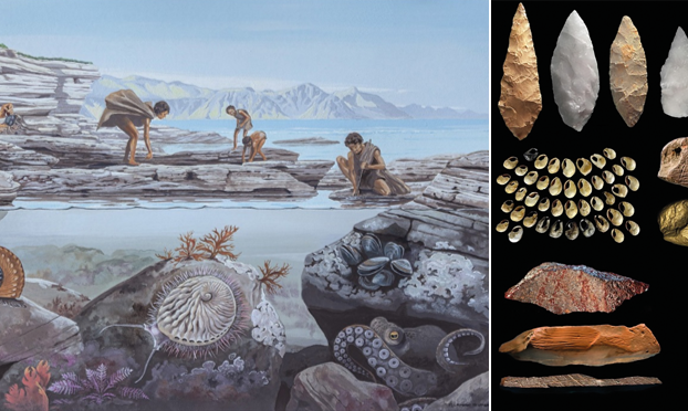 NRF-SAIAB Seminar Series