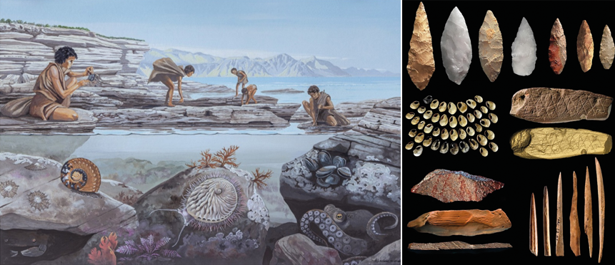 NRF-SAIAB Seminar Series