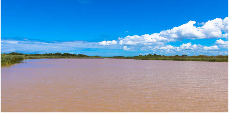 St Lucia at an ecological tipping point?