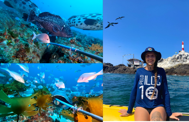 NRF-SAIAB Seminar Series 2026