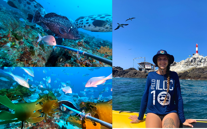 NRF-SAIAB Seminar Series 2026