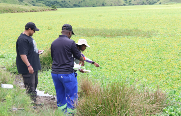 PhD Opportunity | Freshwater Ecology & Biological Control | Southern Africa