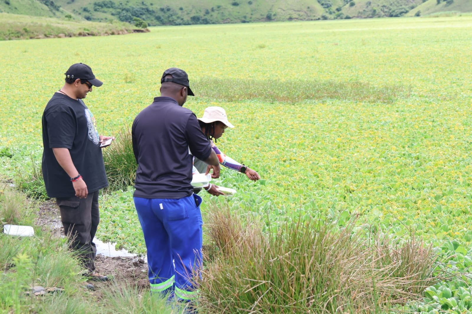 PhD Opportunity | Freshwater Ecology & Biological Control | Southern Africa