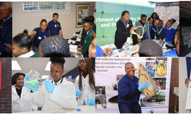 Over 750 Visitors Discover the World of Aquatic Science at NRF-SAIAB Open Day