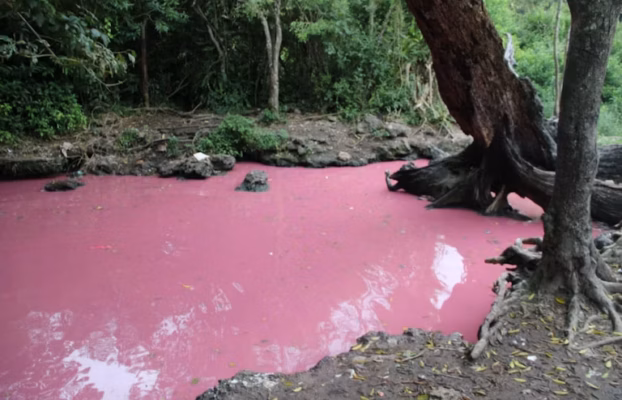 Sacred springs of South Africa: pure waters or polluted? We found tiny bits of plastic in the samples we tested