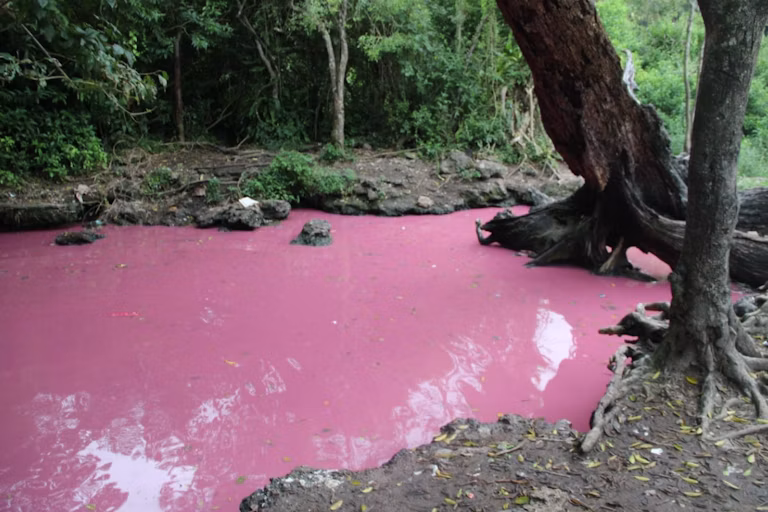 Sacred springs of South Africa: pure waters or polluted? We found tiny bits of plastic in the samples we tested